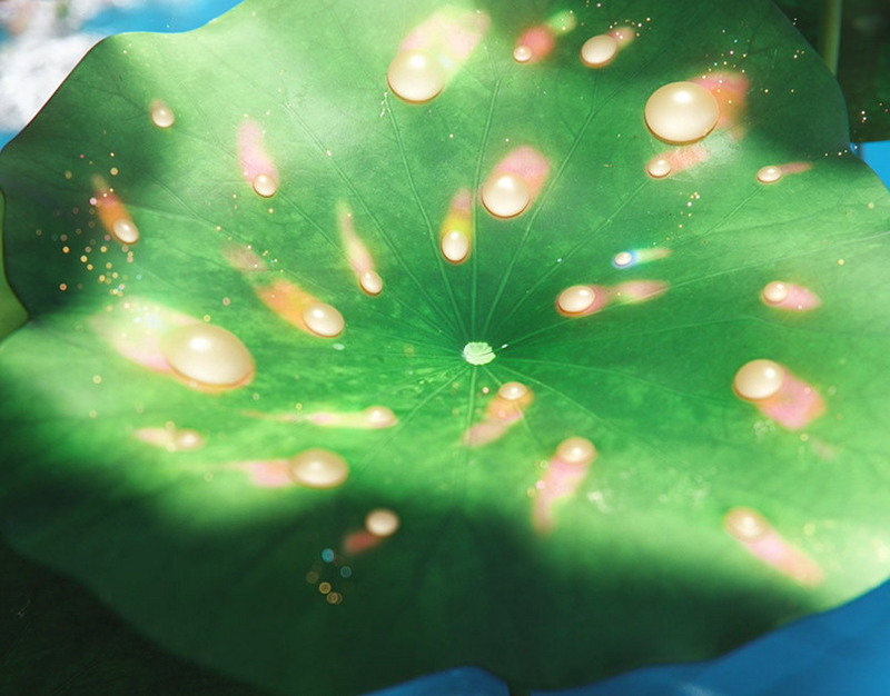 Кафанов о пропущенном голе Сафонова: Матвей очень переживает